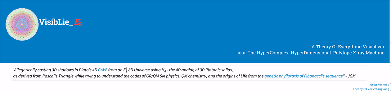 Visualizing a Theory of Everything!